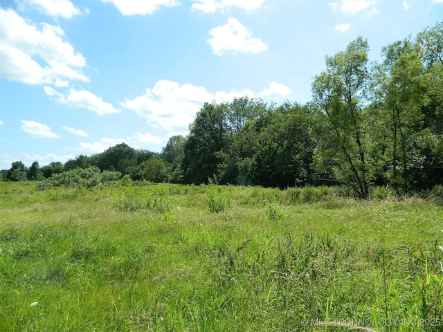 399987 W 3700th Rd, Ramona, OK 74061 - view of wooded area