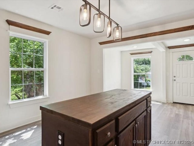 409 N Cherokee St, Claremore, OK 74017 - kitchen featuring plenty of natural light, dark brown cabinets, and light wood-style flooring