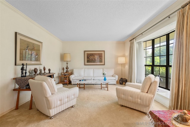7033 E 99th St, Tulsa, OK 74133 - living area featuring carpet floors, a textured ceiling, and crown molding