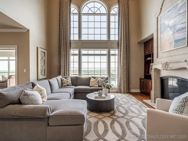 34159 E 698th Rd, Wagoner, OK 74467 - living room featuring a high ceiling, ornamental molding, light wood finished floors, and a high end fireplace