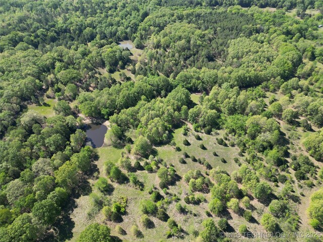 000 S Cold Springs Rd, Atoka, OK 74525 - photo 16