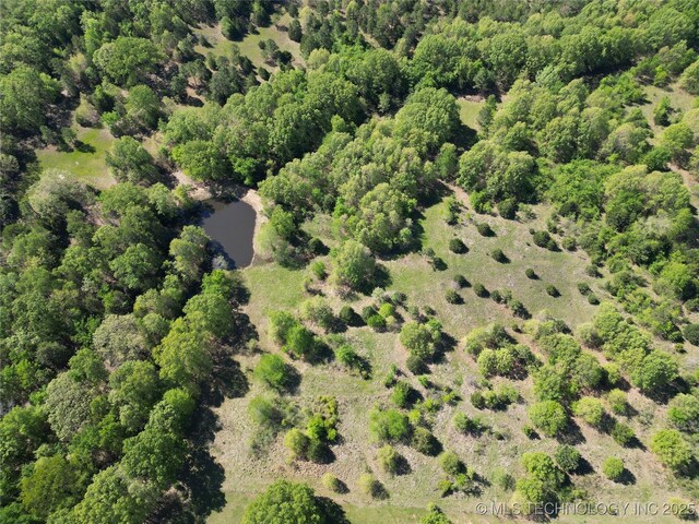 000 S Cold Springs Rd, Atoka, OK 74525 - photo 17