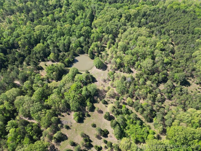 000 S Cold Springs Rd, Atoka, OK 74525 - photo 18