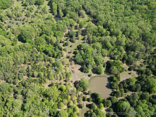 000 S Cold Springs Rd, Atoka, OK 74525 - photo 19