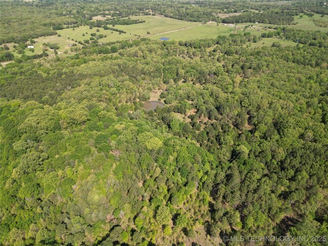 000 S Cold Springs Rd, Atoka, OK 74525 - photo 20