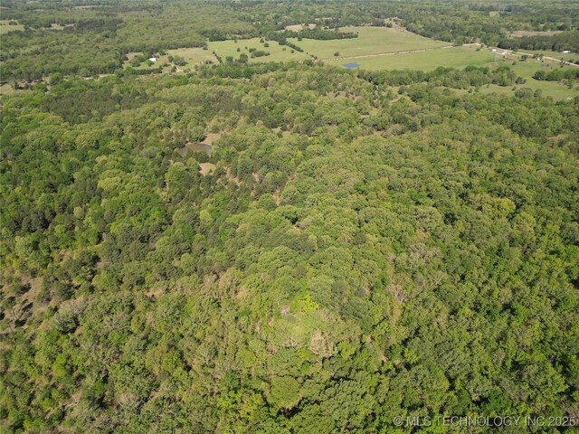 000 S Cold Springs Rd, Atoka, OK 74525 - photo 21