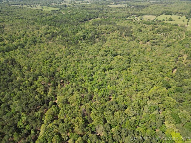 000 S Cold Springs Rd, Atoka, OK 74525 - photo 23