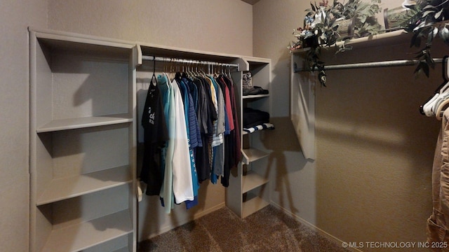 6166 Hedges St, Ardmore, OK 73401 - walk in closet with carpet flooring
