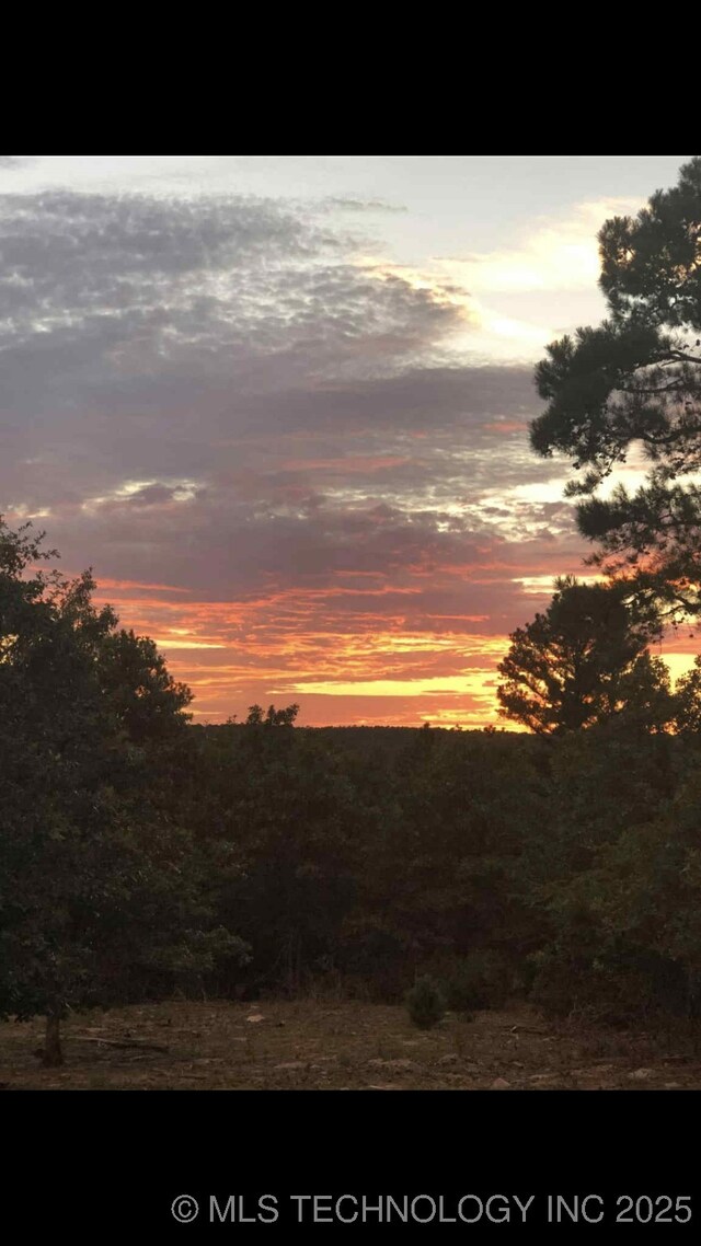 181103 W Sherman Rd, Moyers, OK 74557 - view of nature at dusk
