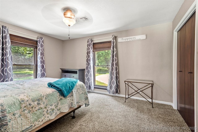 18251 145th W Ave, Sapulpa, OK 74066 - bedroom featuring carpet, multiple windows, a closet, and ceiling fan