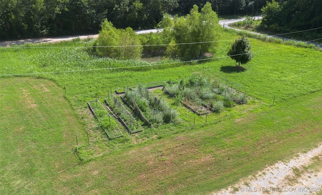 33966 S 4310th Rd, Big Cabin, OK 74332 - view of yard featuring a garden