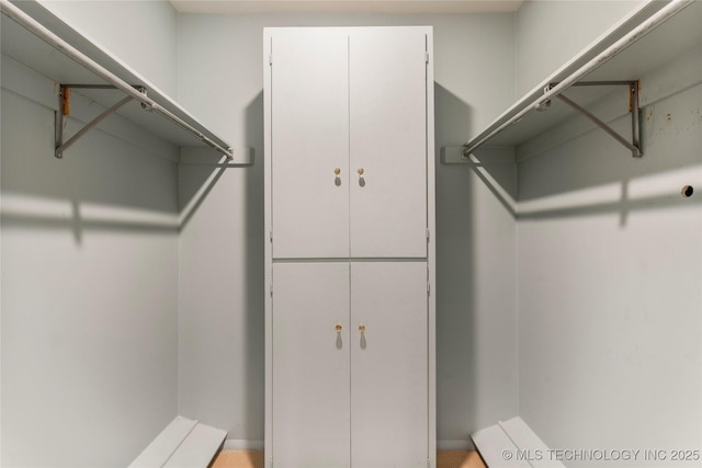 view of spacious closet