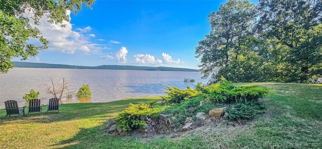 117189 S 4238th Rd, Eufaula, OK 74432 - water view
