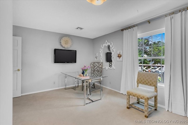 5824 S Louisville Ave, Tulsa, OK 74135 - office with carpet and baseboards