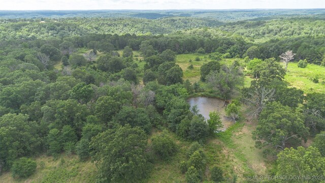 Ne 493 Drive, Salina, OK 74365 - photo 6