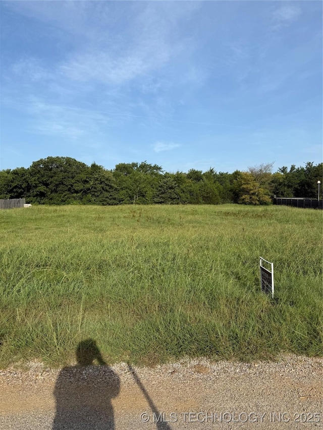 High Chaparal Dr, Lone Grove, OK 73443 - photo 1