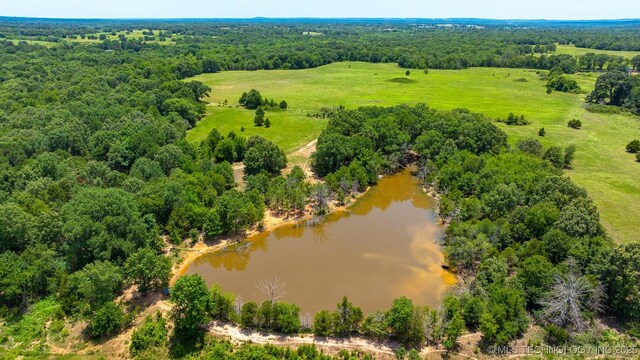 10849 S Sawmill, Atoka, OK 74525 - photo 4