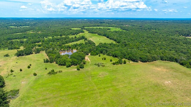 10849 S Sawmill, Atoka, OK 74525 - photo 6