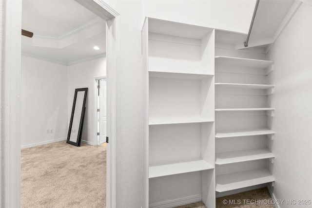 1505 Augusta, Ada, OK 74820 - spacious closet featuring carpet floors