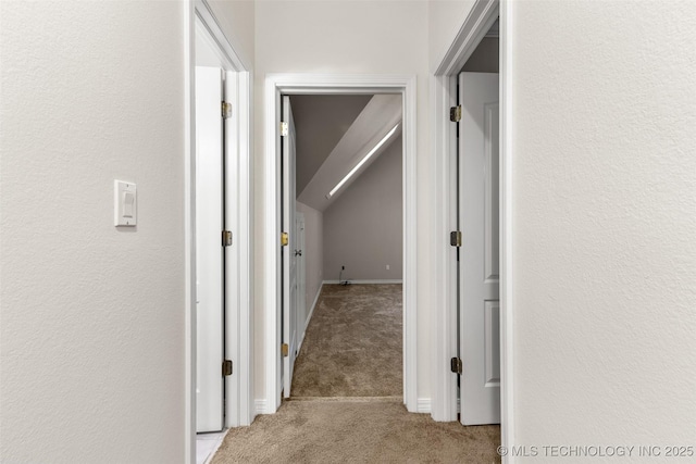 1505 Augusta, Ada, OK 74820 - hall with carpet flooring