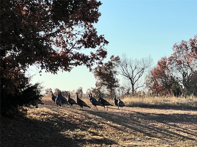 348550 E Parkside Dr, Pawnee, OK 74058 - view of undeveloped land with rural landscape