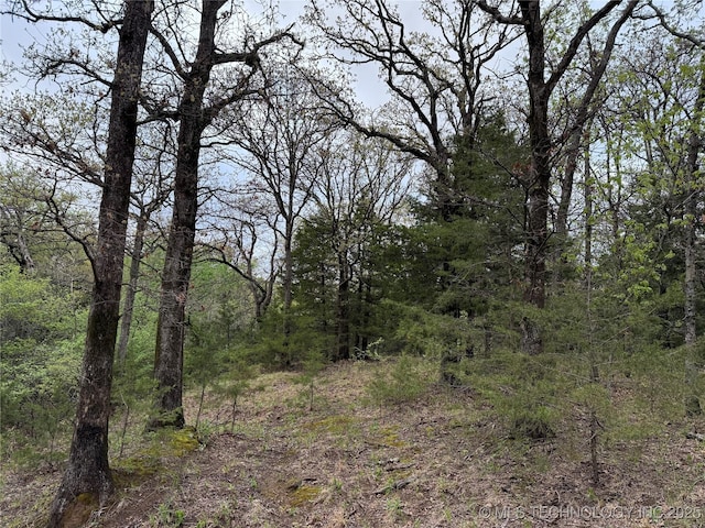 348550 E Parkside Dr, Pawnee, OK 74058 - view of tree filled area