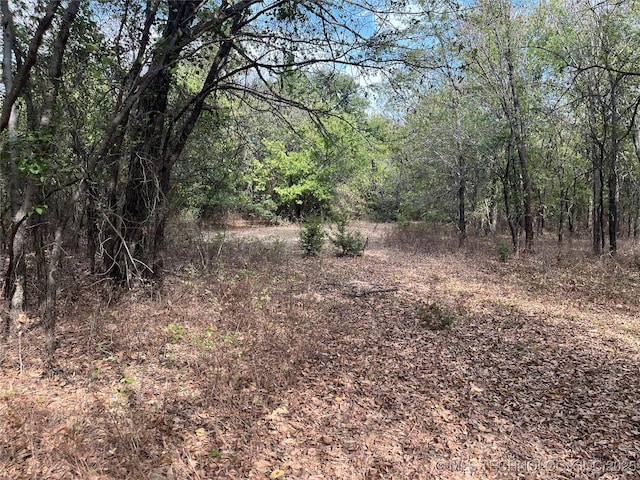 No Man Rd, Healdton, OK 73438 - photo 2