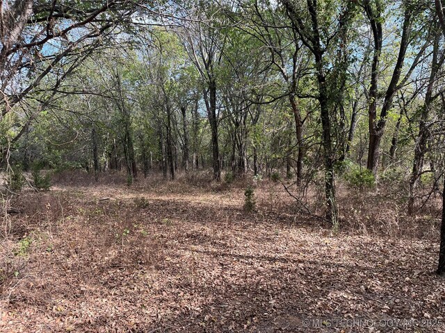 No Man Rd, Healdton, OK 73438 - photo 3