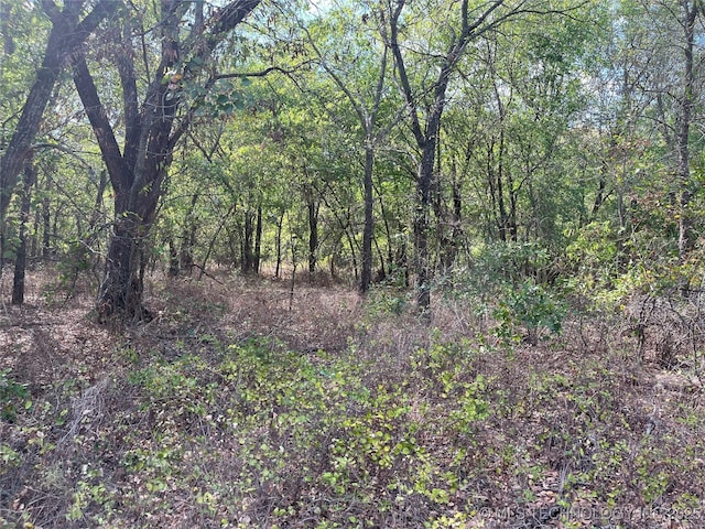 No Man Rd, Healdton, OK 73438 - photo 4