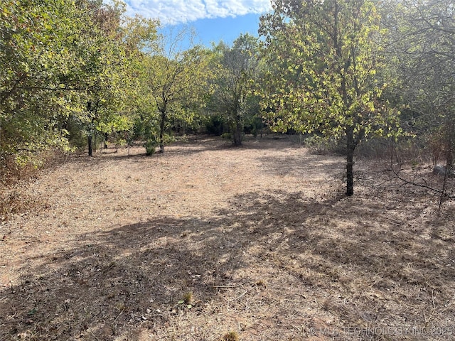 No Man Rd, Healdton, OK 73438 - photo 5