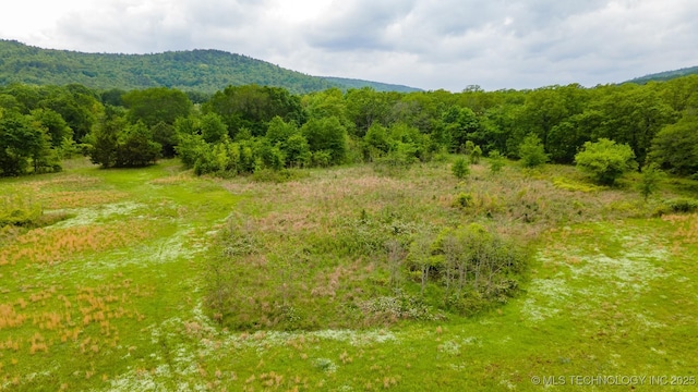 Burris Valley Rd, Pittsburg, OK 74560