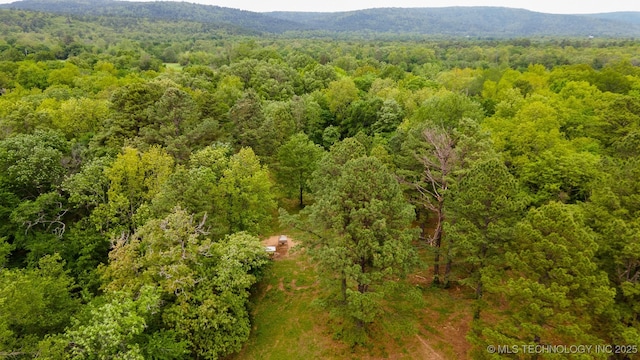 Burris Valley Rd, Pittsburg, OK 74560