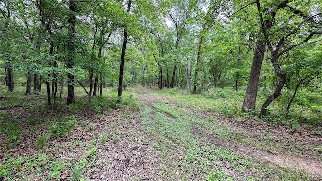 Burris Valley Rd, Pittsburg, OK 74560