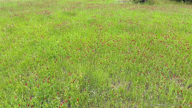 Burris Valley Rd, Pittsburg, OK 74560