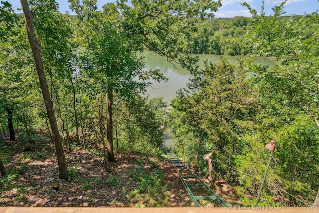 69125 E 252nd Rd, Wyandotte, OK 74370 - water view with a heavily wooded area