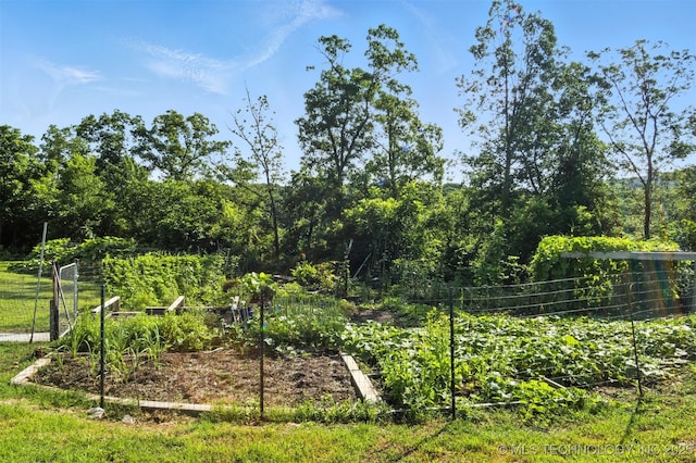 27719 S 610th Rd, Bunch, OK 74931 - view of yard with a vegetable garden