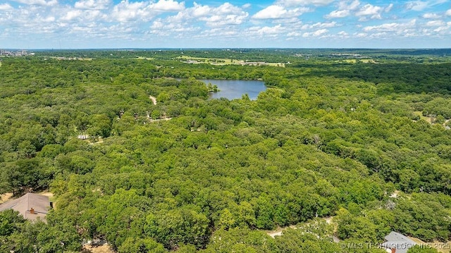 17027 County Road 3547, Ada, OK 74820 - aerial view of a forest and a large body of water