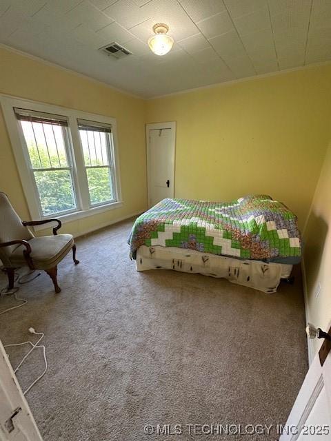 717 N Burns, Holdenville, OK 74848 - bedroom with carpet floors and ornamental molding