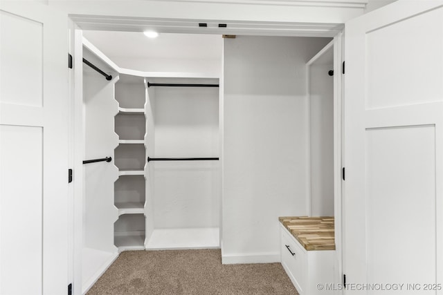 16355 County Road 1586, Ada, OK 74820 - walk in closet featuring carpet flooring