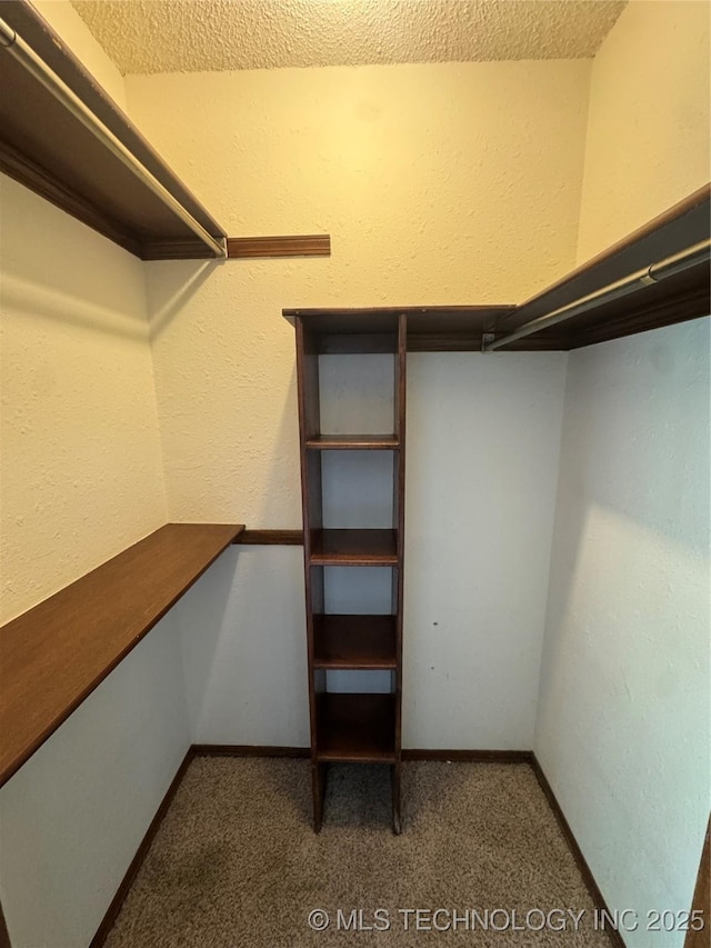 1516 Timber Ridge Dr, Cleveland, OK 74020 - walk in closet featuring carpet floors