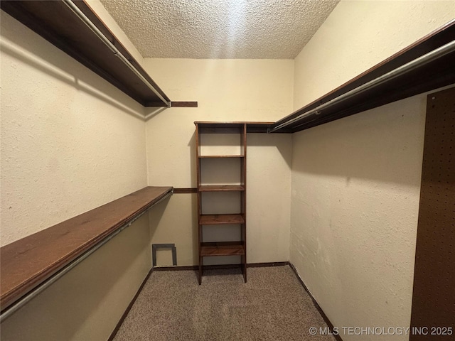 1516 Timber Ridge Dr, Cleveland, OK 74020 - walk in closet with carpet flooring