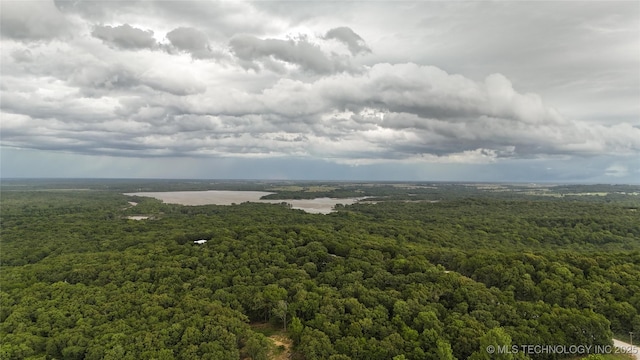 Sycamore St, Silo, OK 74701 - photo 4
