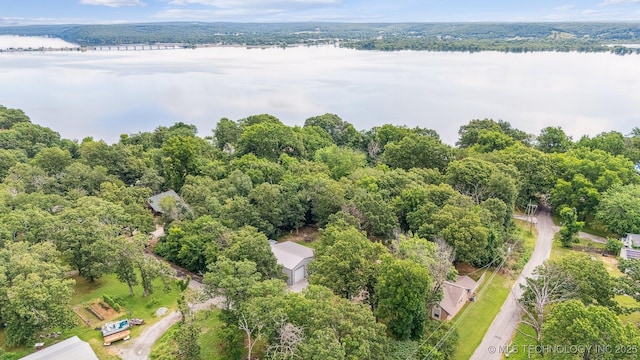 16 Big Bluff St, Pryor, OK 74361 - bird's eye view of a large body of water and a forest