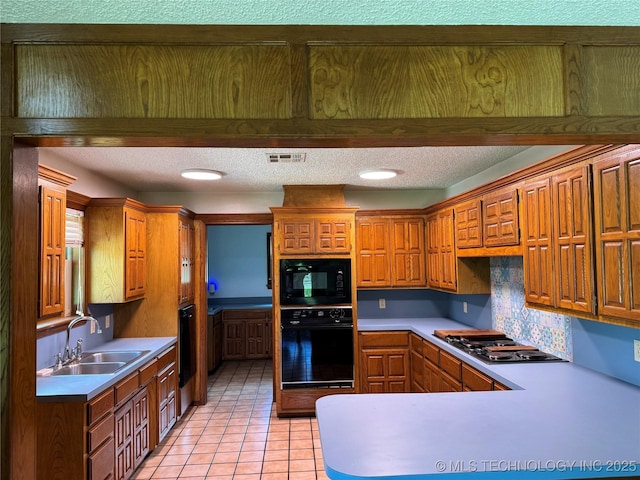 11255 W 166th Pl N, Skiatook, OK 74070 - photo 11