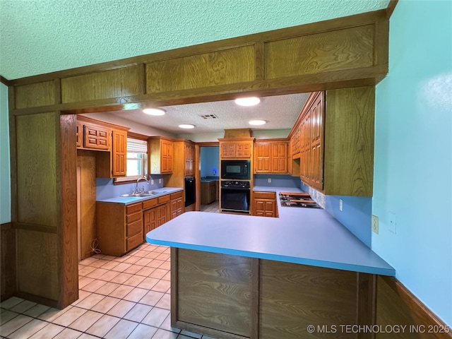 11255 W 166th Pl N, Skiatook, OK 74070 - photo 12