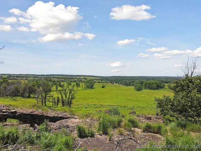 16141 State Highway 20th Rd, Hominy, OK 74035 - view of local wilderness
