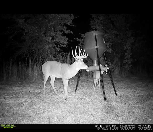 16141 State Highway 20th Rd, Hominy, OK 74035 - photo 70