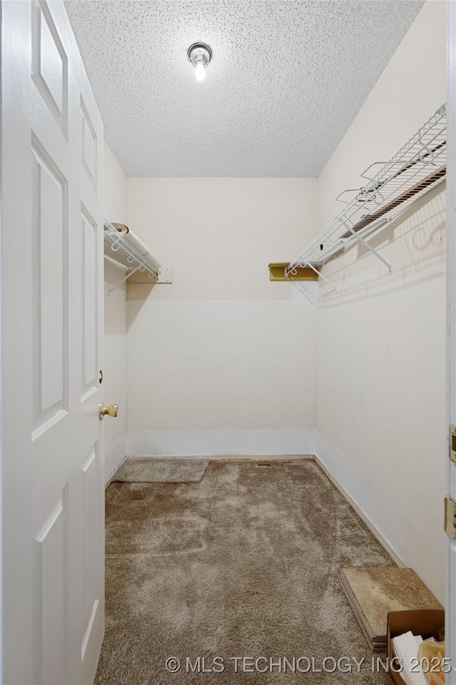 39827 Morris Creek Rd, Howe, OK 74940 - spacious closet with carpet