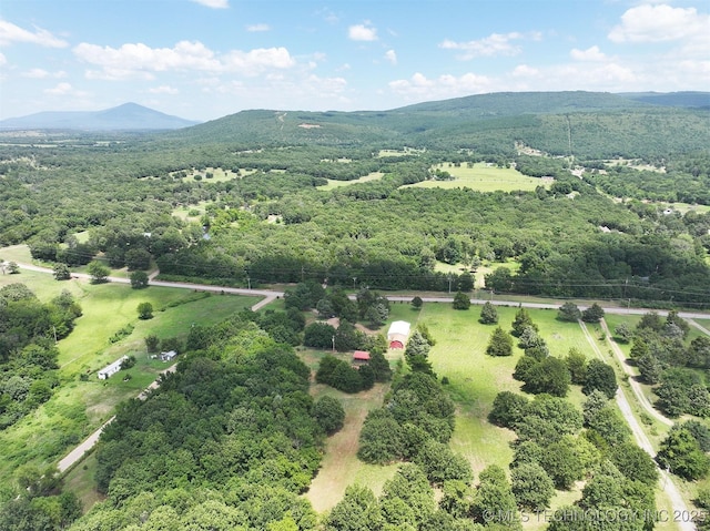 39827 Morris Creek Rd, Howe, OK 74940 - bird's eye view of a mountain backdrop