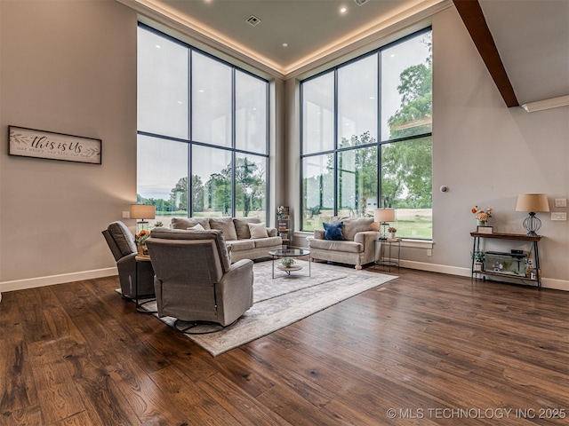 20853 S 81st Ave W, Mounds, OK 74047 - living room featuring a high ceiling, dark wood-style floors, and a wall of windows